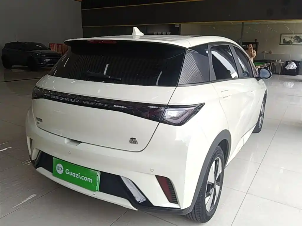 BYD Dolphin 2023 420km Fashion Edition фото 7