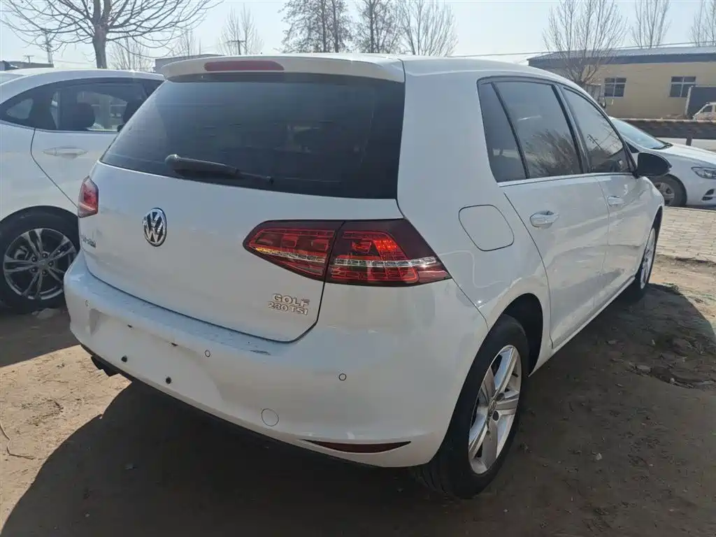 Volkswagen Golf 2017 230TSI Manual Comfort Millionth Anniversary Edition фото 5