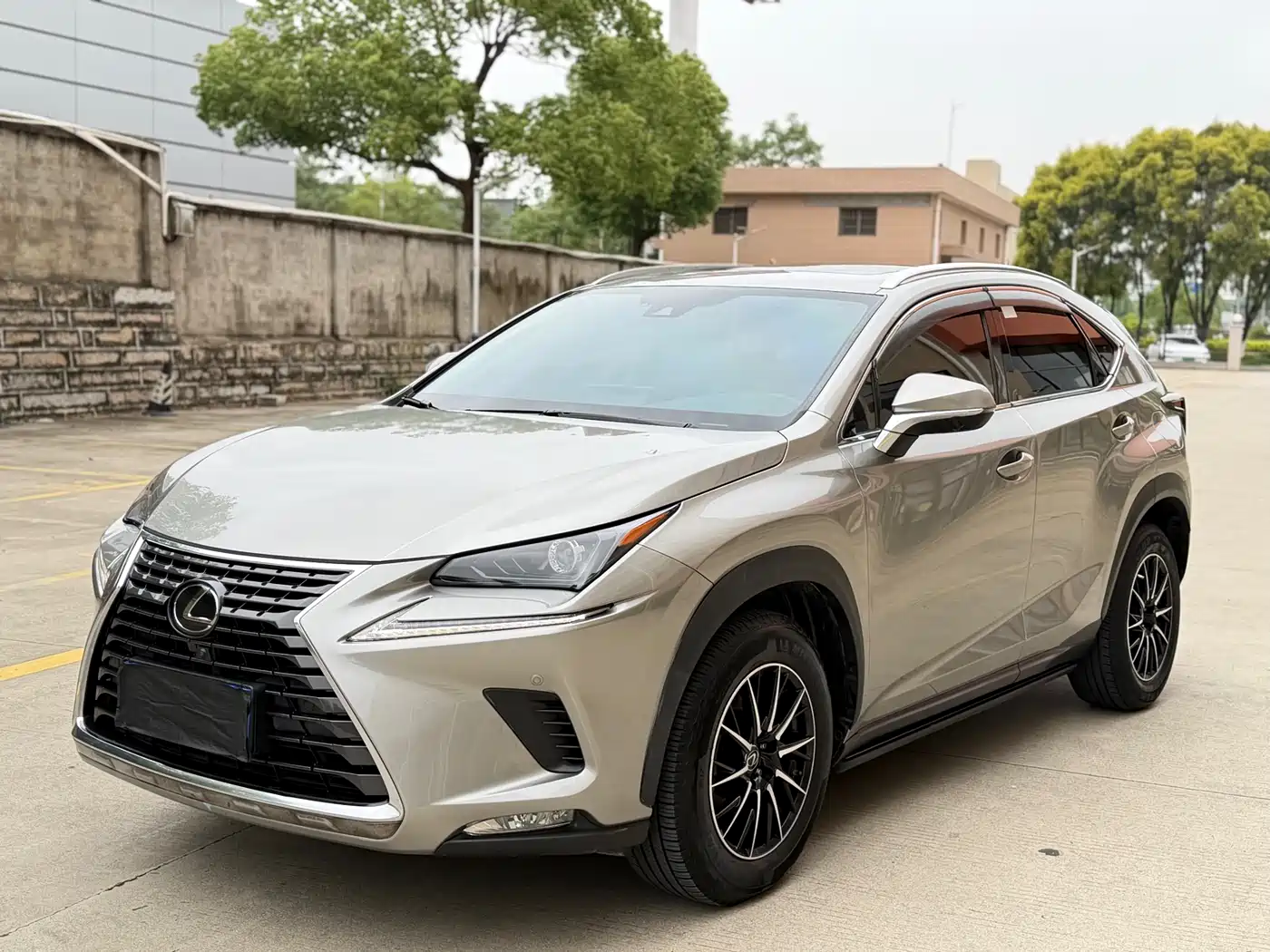 LEXUS NX