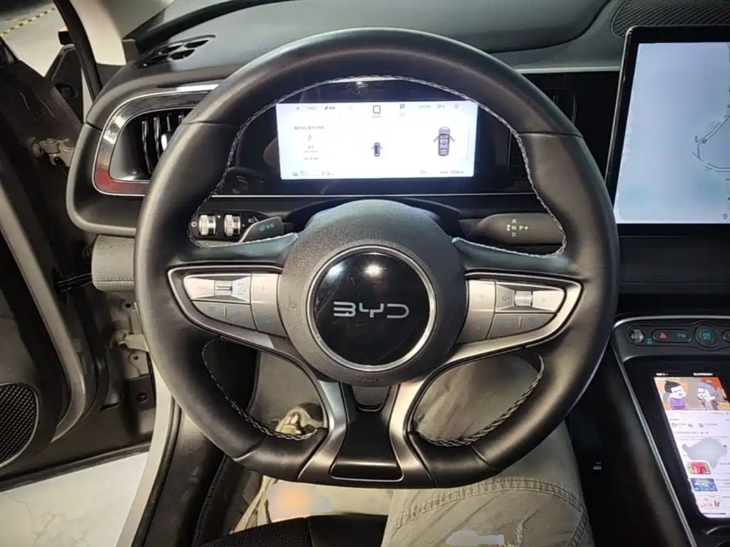 BYD Hai Shi 05 EV 2025 520KM Smart Navigation Edition фото 11