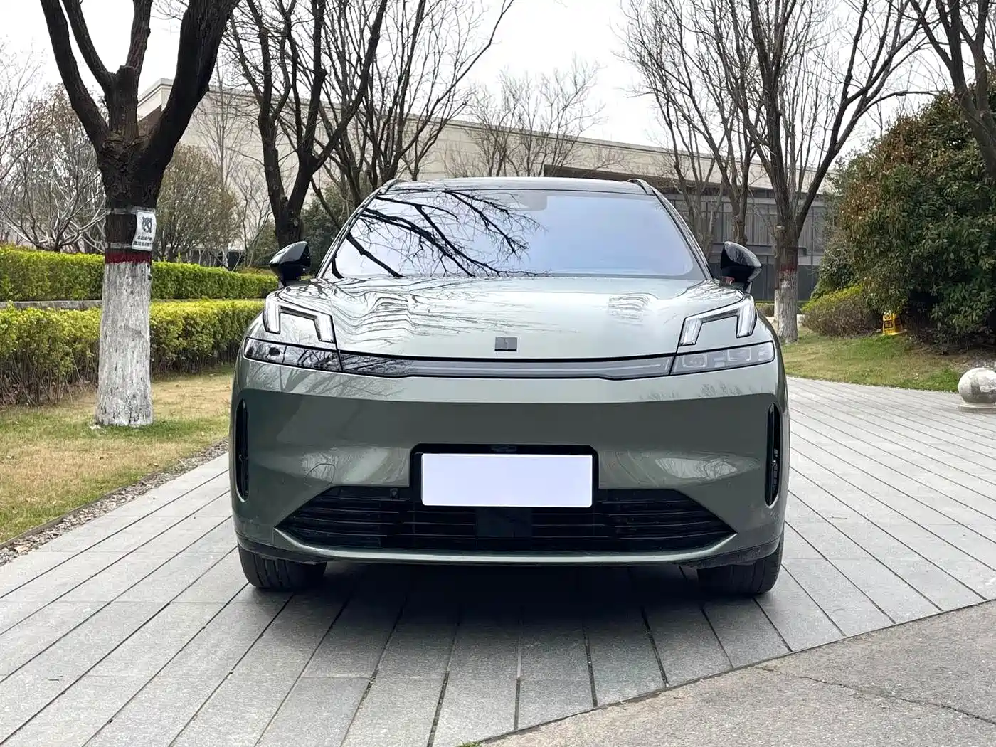 Lynk & Co 08 EM-P 2023 220km 4WD Performance Halo фото 2