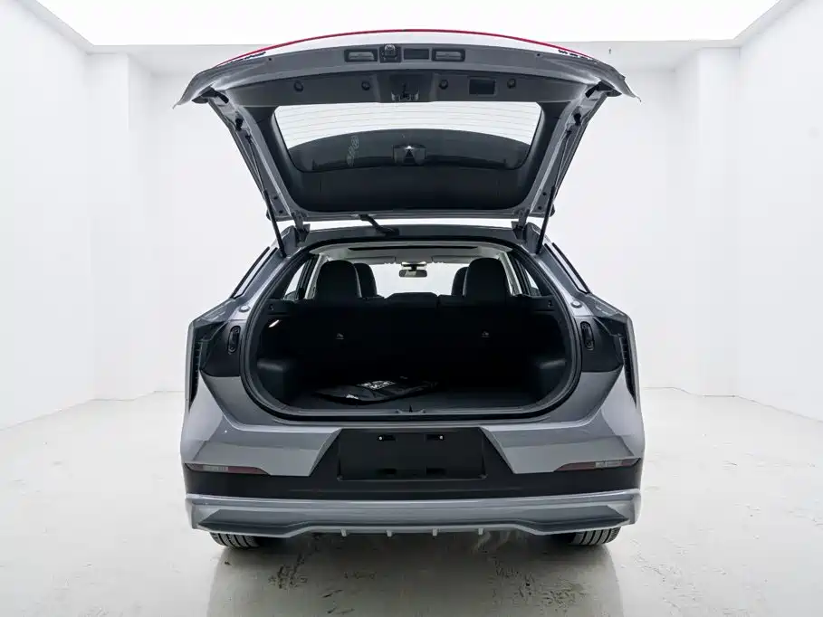 Venucia DaV DD-i 2026 2023 110km iE Edition