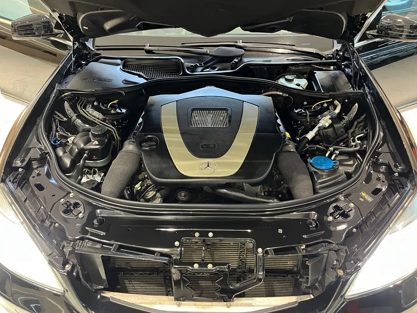 Mercedes-Benz S-Class 2010 S 350 L Luxury фото 23