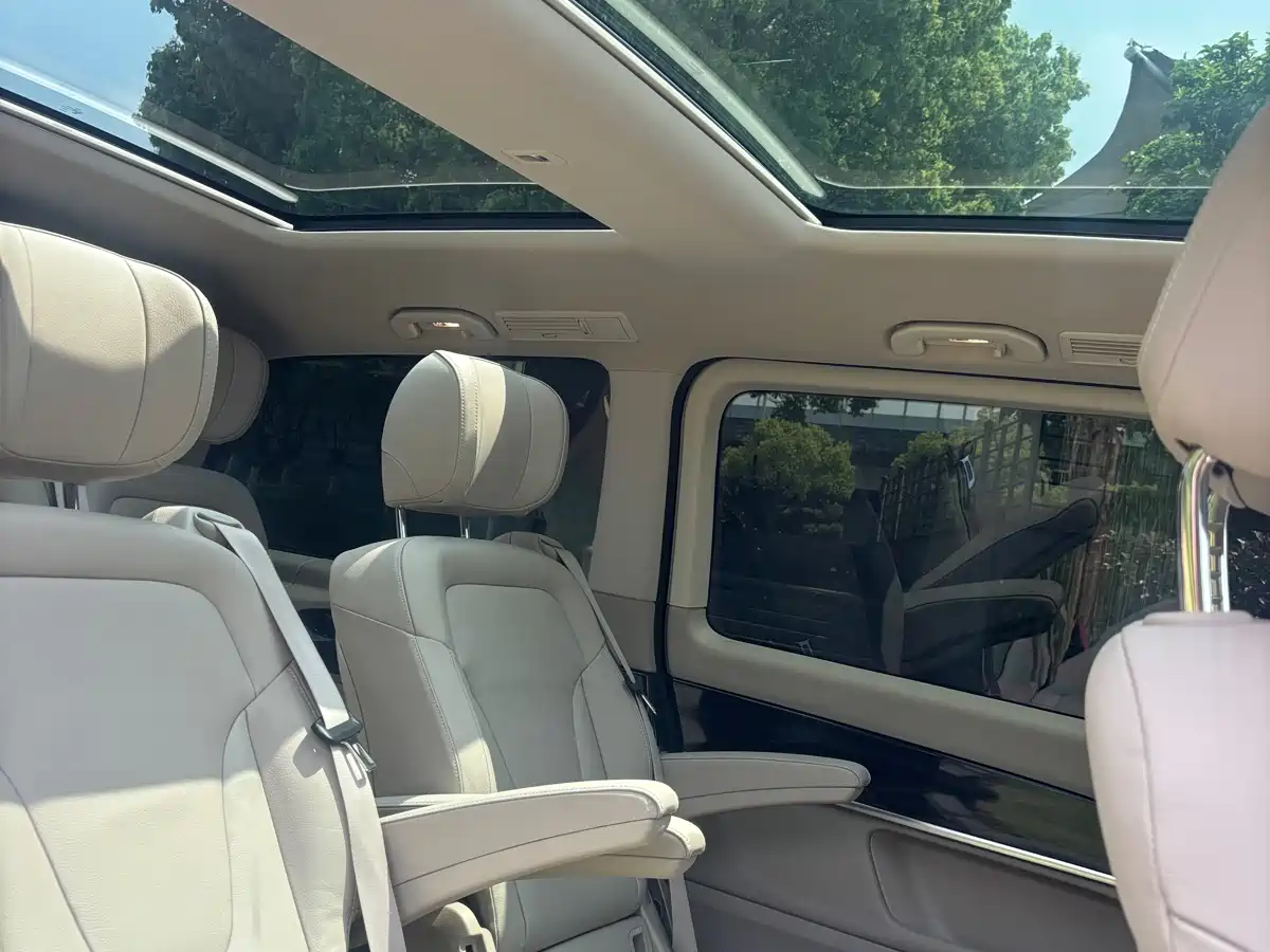 Mercedes-Benz V-Class 2018 V 260 Pilot Edition China V фото 9