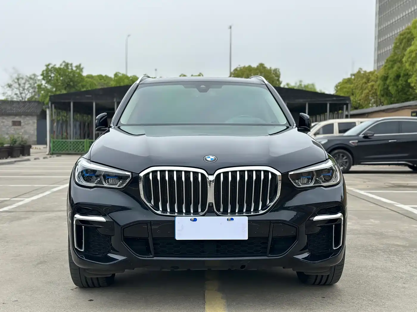 BMW X5 2022 xDrive 30Li Premium M Sport Package фото 2
