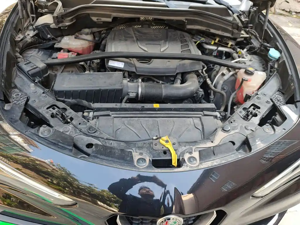 Alfa Romeo Stelvio 2019 2017 2.0T 200HP Elite