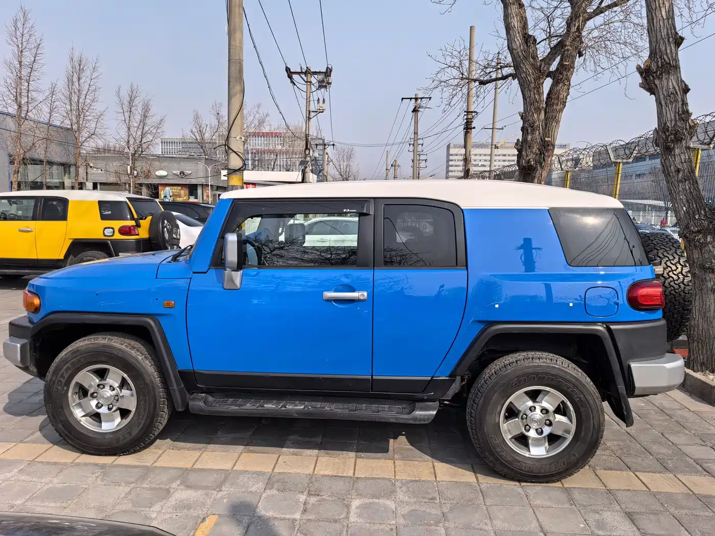 Toyota FJ Cruiser 2007 4.0L фото 18