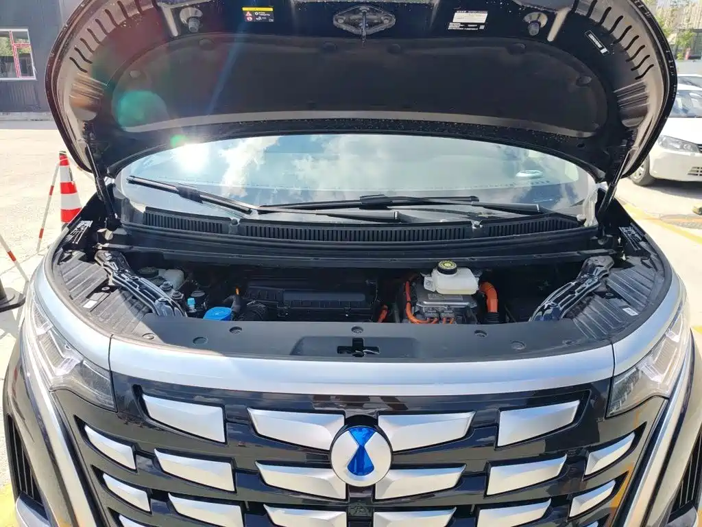 Denza D9 2026 2024 DM-i 980 AWD Premium