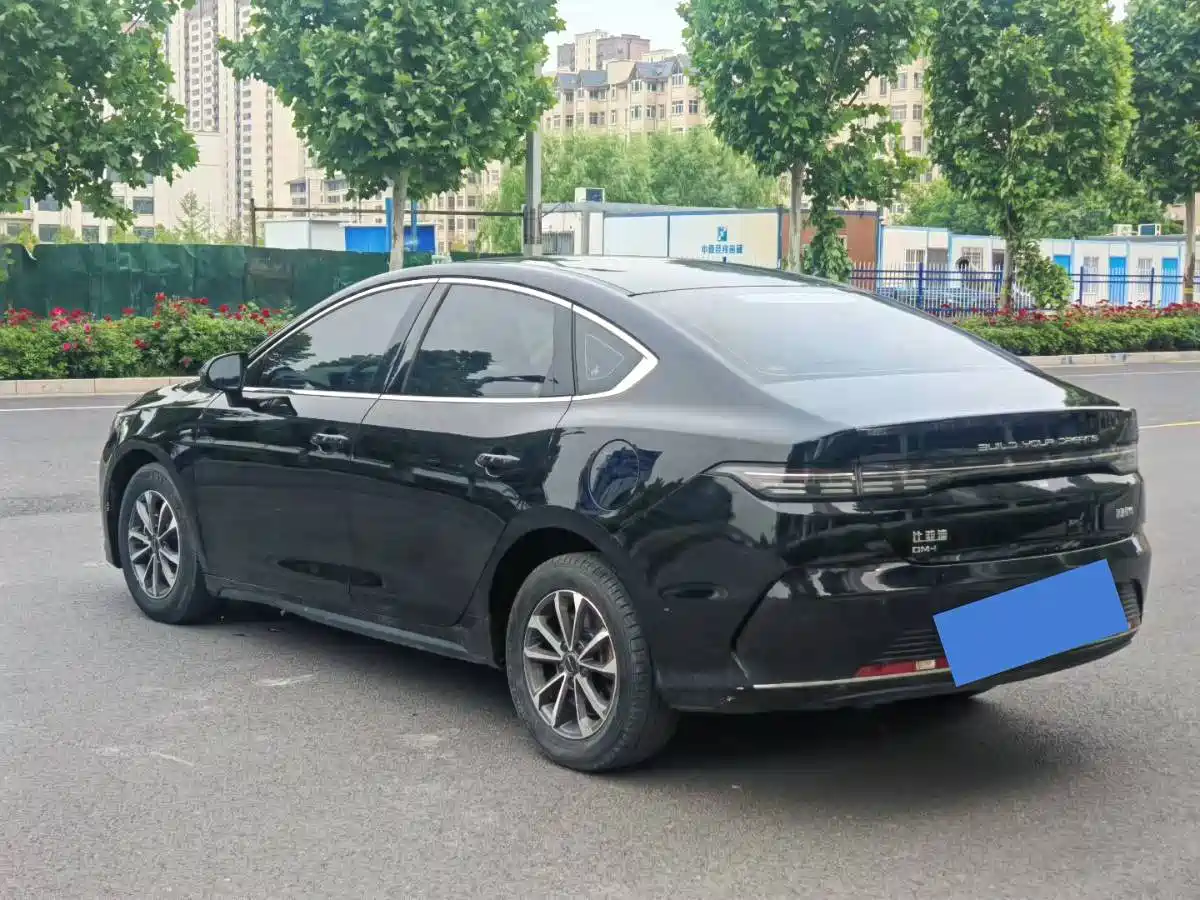 BYD Destroyer 05 2024 Glory Edition DM-i 55KM Luxury фото 9