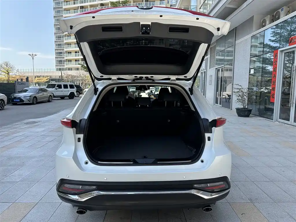 Toyota Lingfang HARRIER 2023 2.0L CVT 2WD Premium Edition фото 23