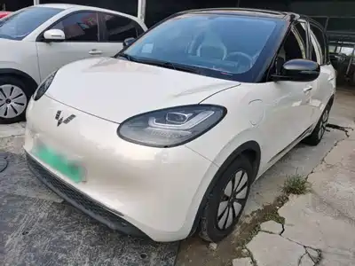 Wuling Bingo