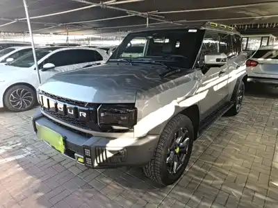Jetour Traveler