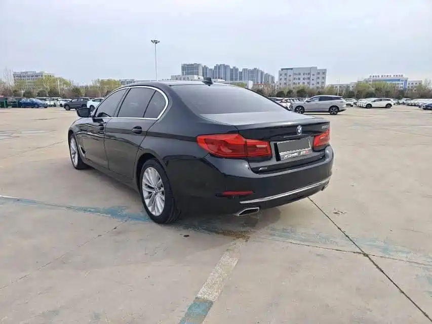BMW 5 Series 2020 530Li xDrive Luxury Package фото 6
