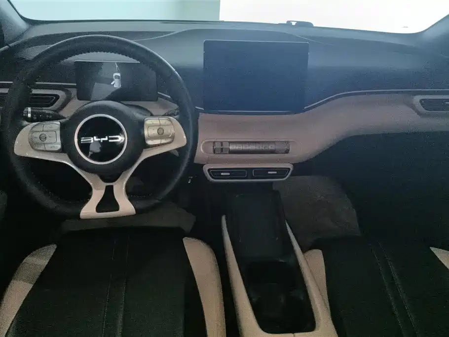 BYD Seagull 2023 Freedom Edition фото 12
