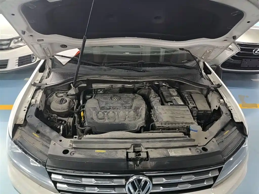 Volkswagen Tiguan L 2019 330TSI Auto 2WD Smart Luxury Edition China V фото 20