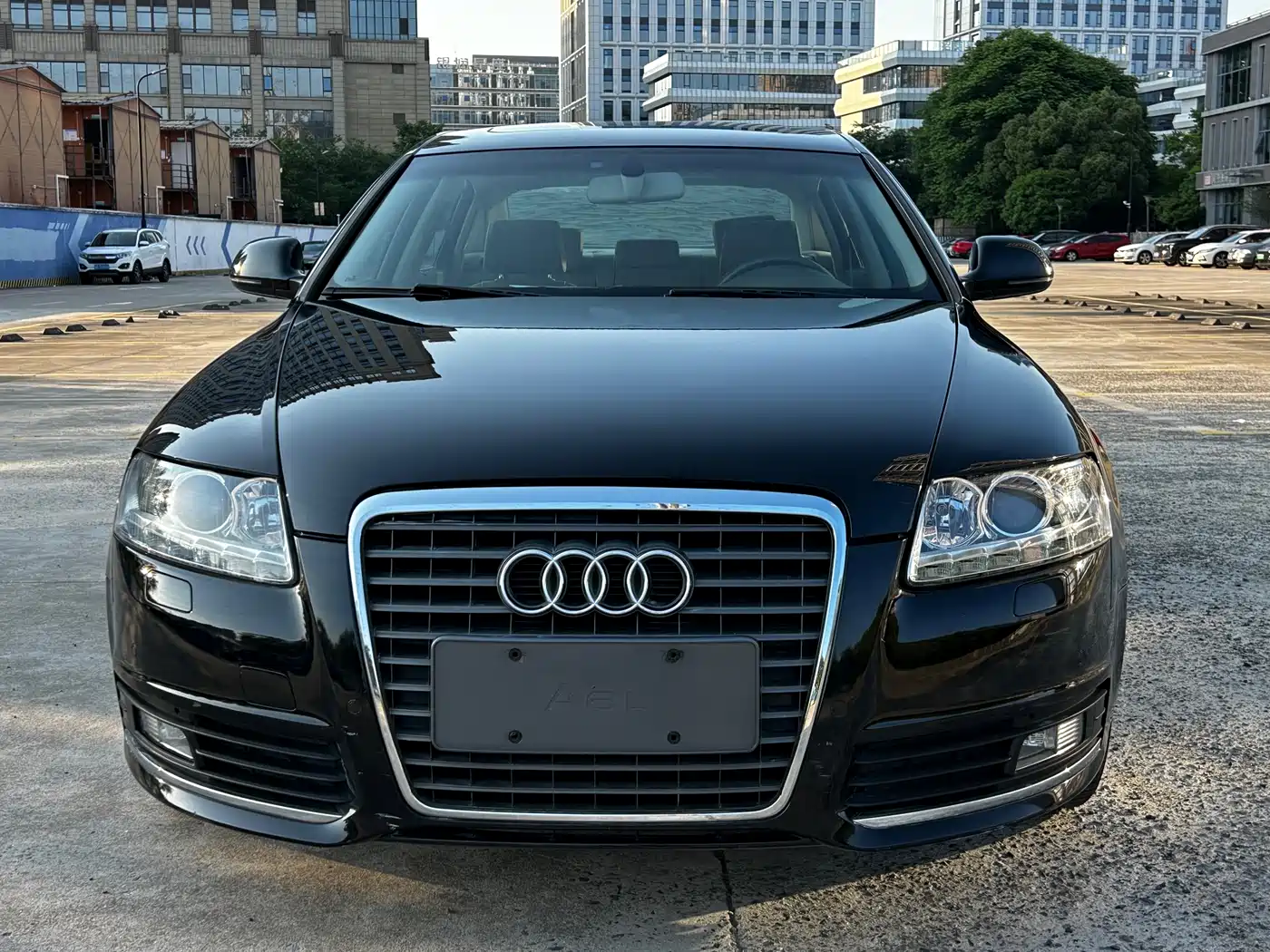 Audi A6L 2010 2.4L Luxury фото 2
