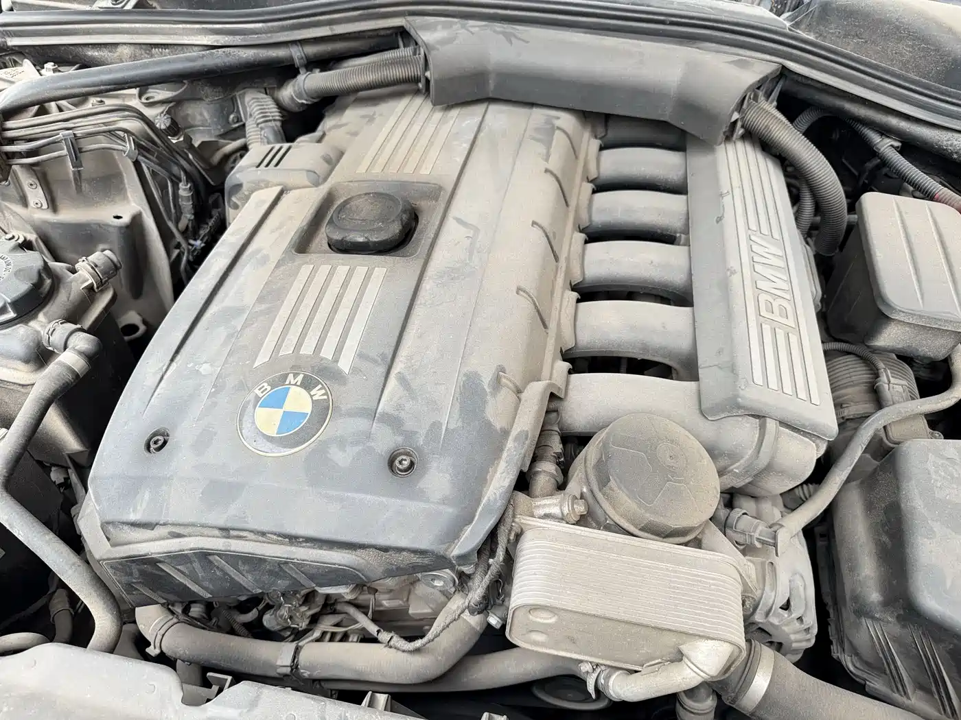 BMW 5 Series 2010 523Li Leading фото 13