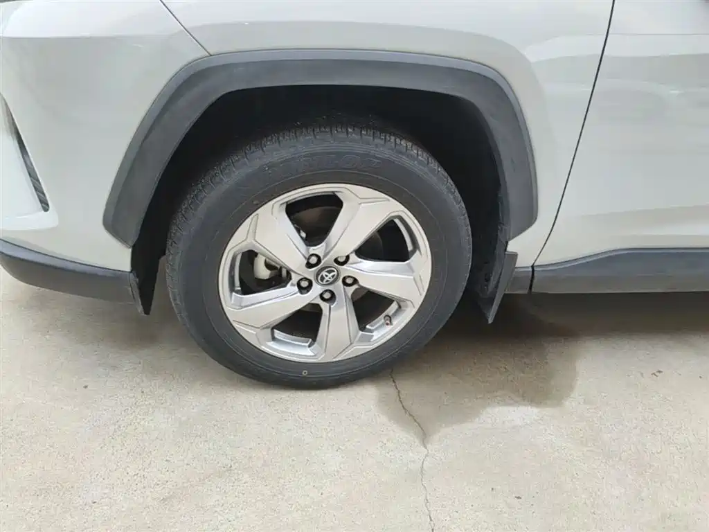 Toyota RAV4 Rongfang 2021 2.0L CVT 2WD Trend фото 23