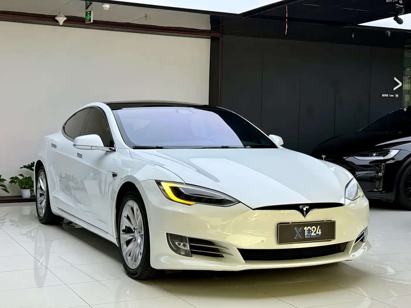 Tesla Model S 2019 2019 Long Range Version