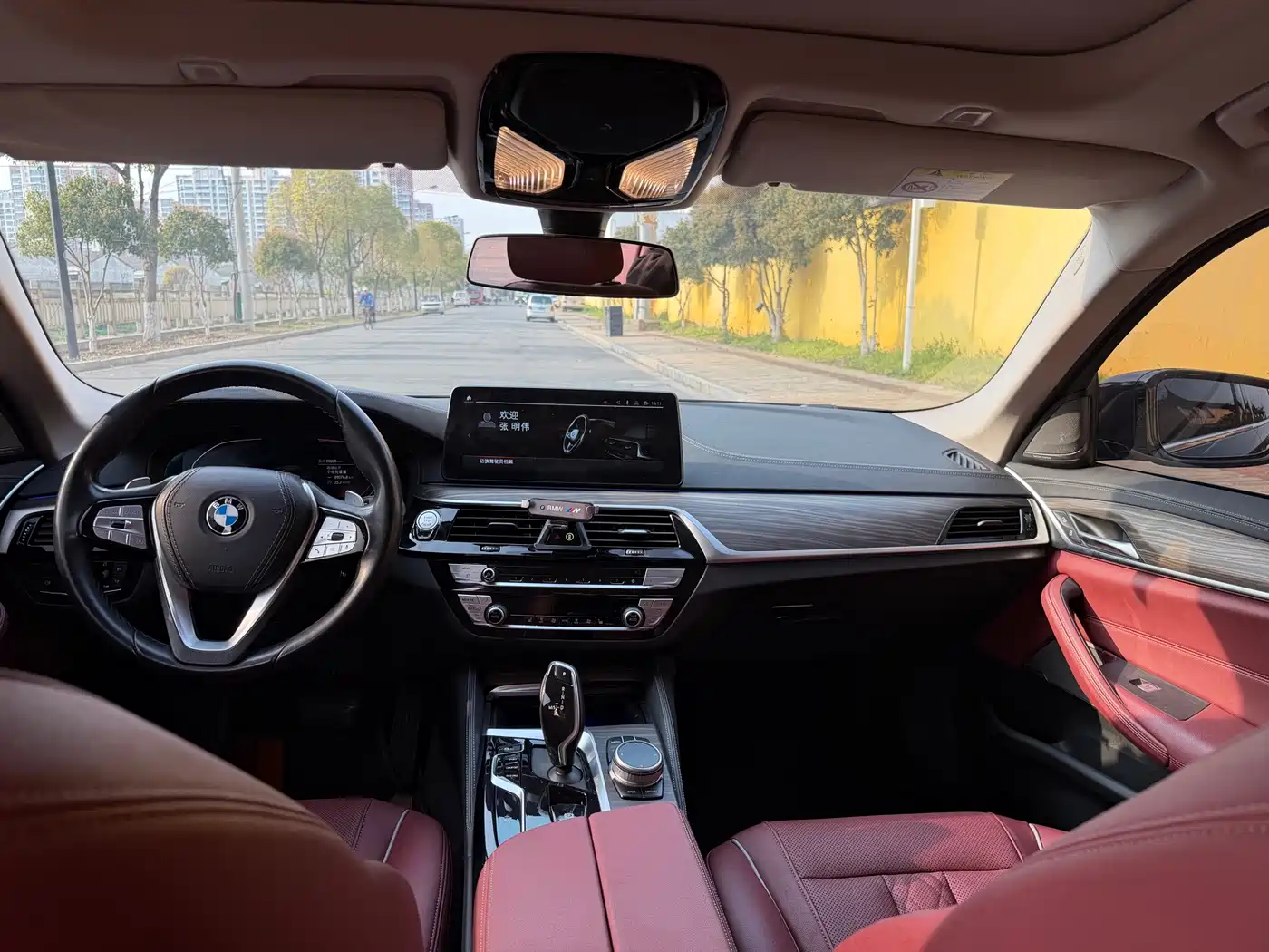 BMW 5 Series 2022 Facelift 530Li Leading Luxury Package фото 13