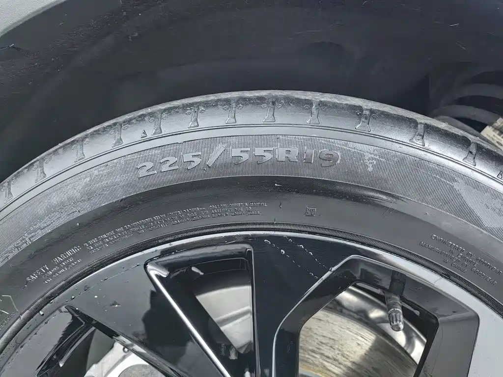 Ford Mustang Mach-E 2022 2021 Leap World RWD (Standard Range)