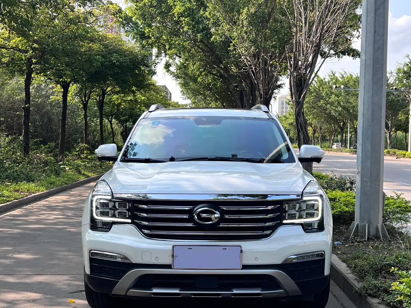 GAC Trumpchi Trumpchi GS8 2017 320T AWD Luxury Smart Connect (7-Seater) фото 2