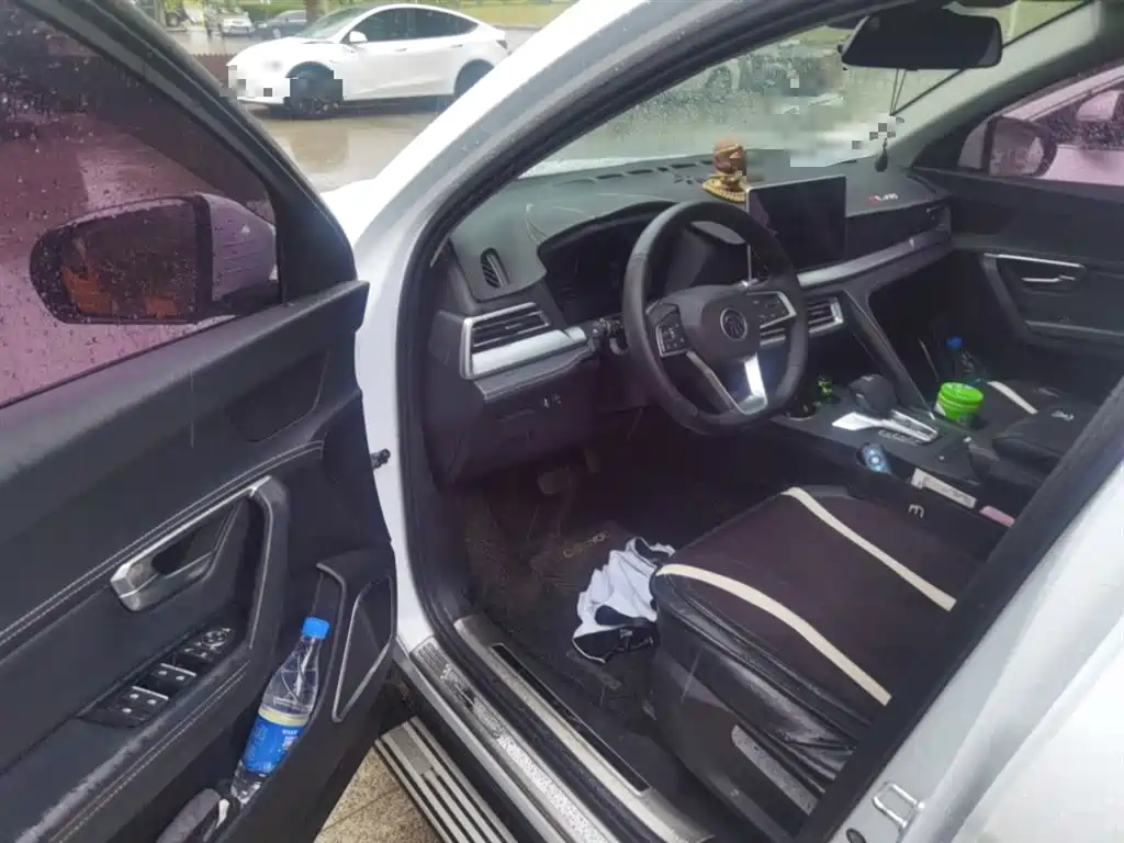 BYD Song Pro 2019 1.5T Automatic Luxury фото 13