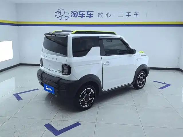 Geely Galaxy Panda 2025 Model Year 210km Panda Knight — фото 3