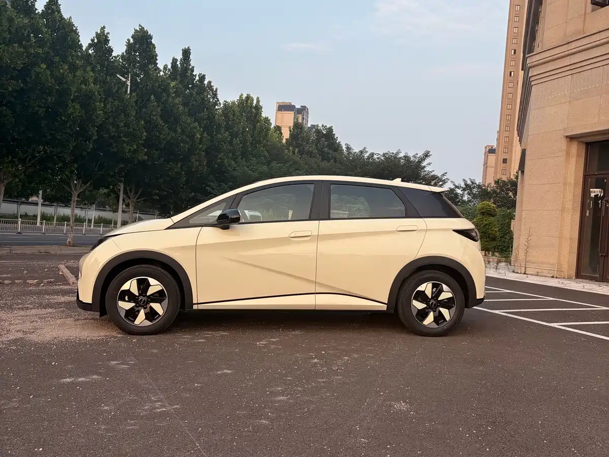 BYD Dolphin 2026 2025 420km Freedom Edition