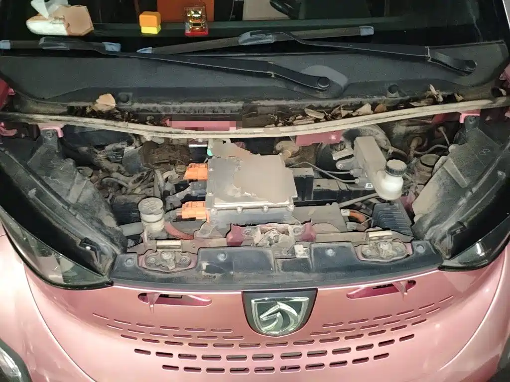 Baojun E100 2019 2019 250KM Smart Edition