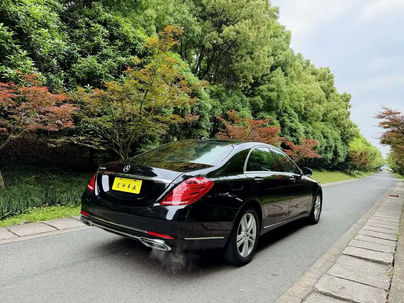 Mercedes-Benz S-Class 2016 S 320 L Luxury фото 7