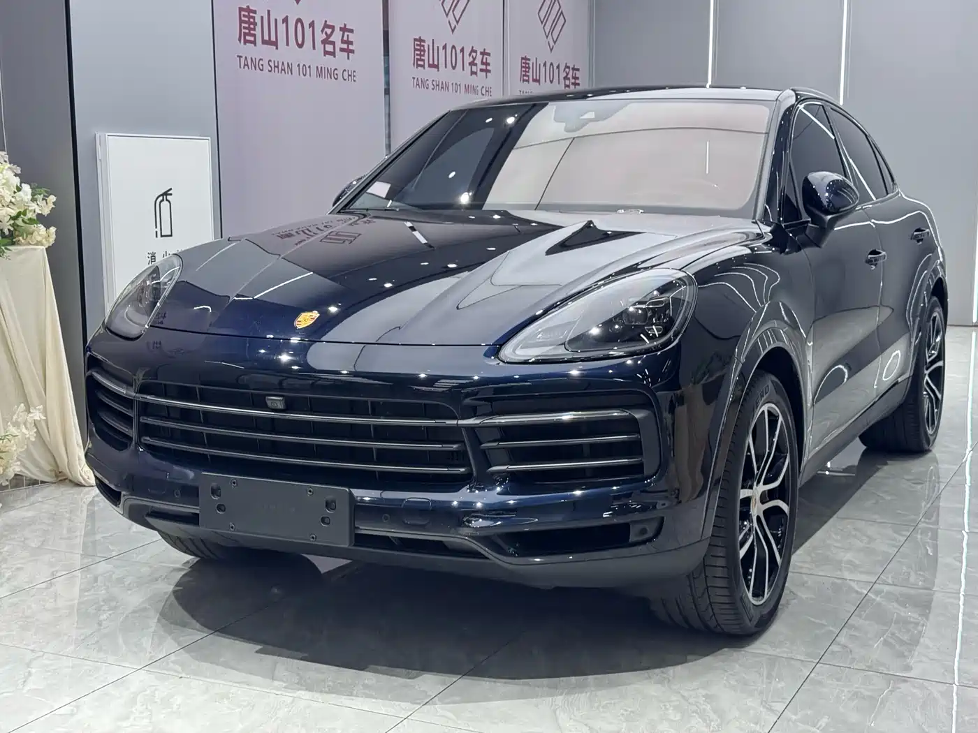 Porsche Cayenne 2023 Cayenne 3.0T Platinum Edition