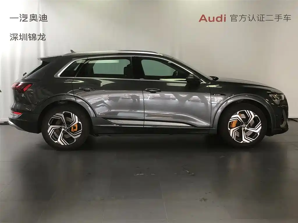Audi e-tron 2021 50 quattro Exclusive Selection фото 5