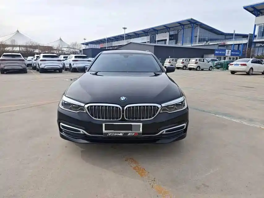 BMW 5 Series 2020 530Li xDrive Luxury Package фото 2