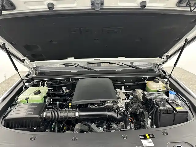 BAIC ORV Beijing Off-Road BJ40 Range Extender 2025 Standard Edition фото 17