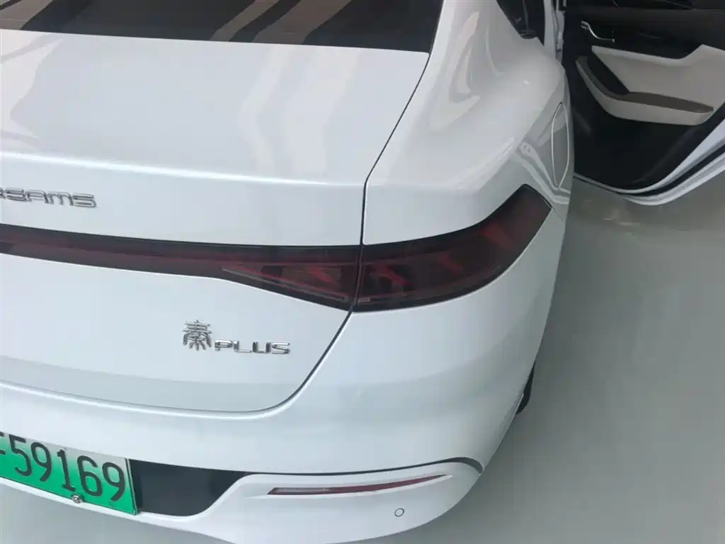BYD Qin PLUS 2023 Champion Edition DM-i 55KM Leading фото 8