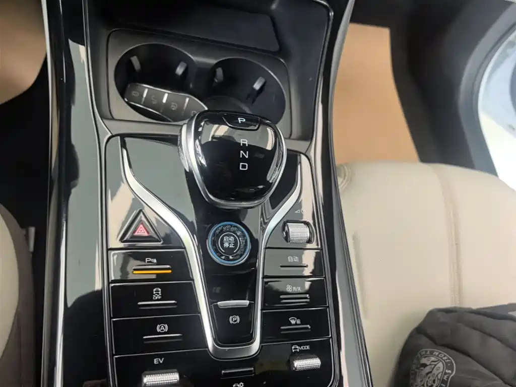 BYD Qin PLUS 2023 Champion Edition DM-i 55KM Leading фото 14
