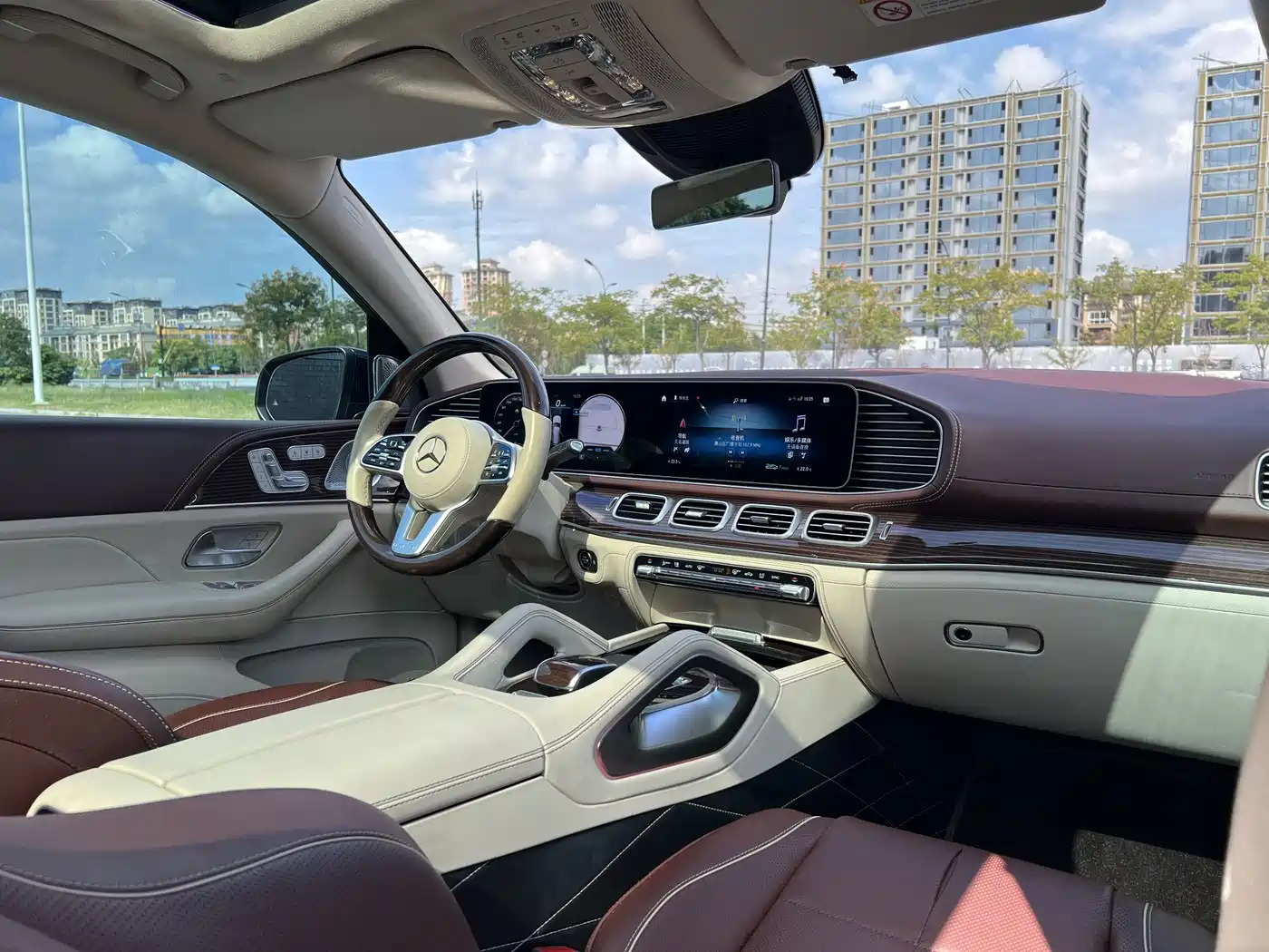 Mercedes-Benz Maybach GLS 2021 GLS 600 4MATIC Ritual Edition фото 8
