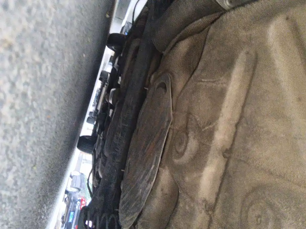 Volkswagen Santana 2022 2021 1.5L Automatic Trend Edition