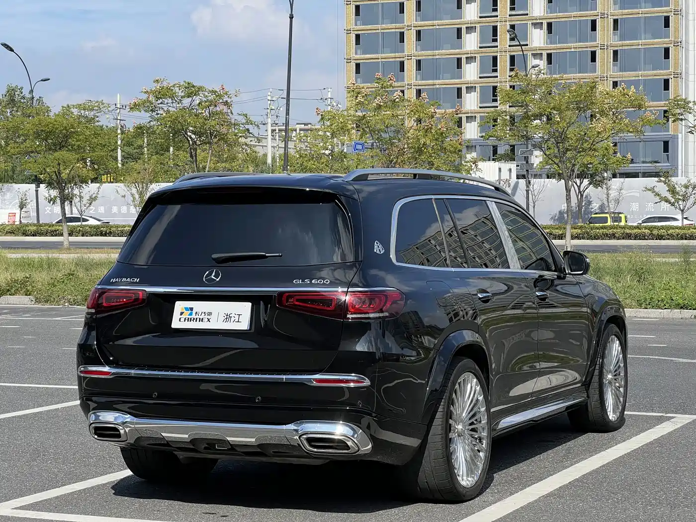 Mercedes-Benz Maybach GLS 2021 GLS 600 4MATIC Ritual Edition фото 5