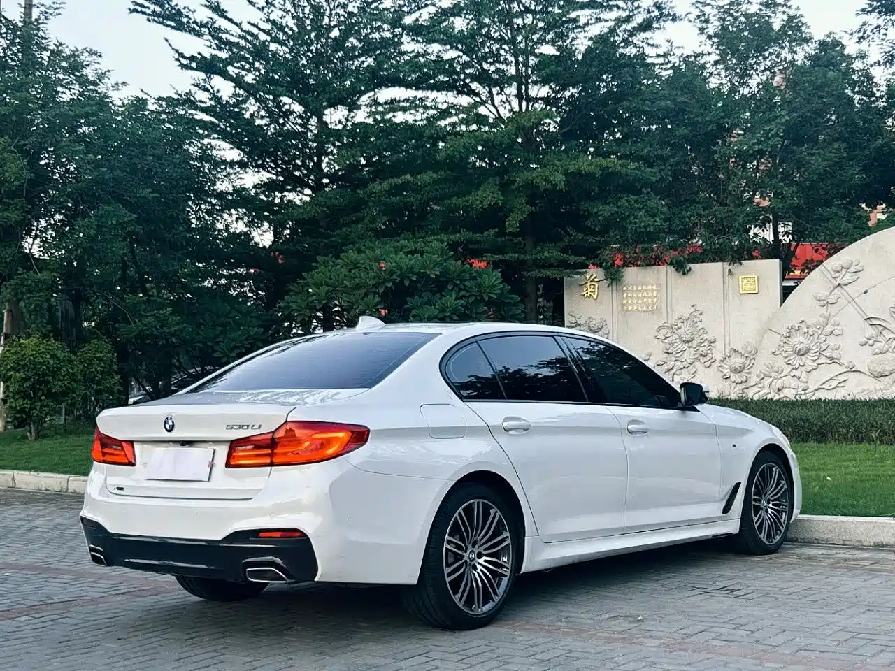 BMW 5 Series 2019 530Li xDrive M Sport Package фото 9