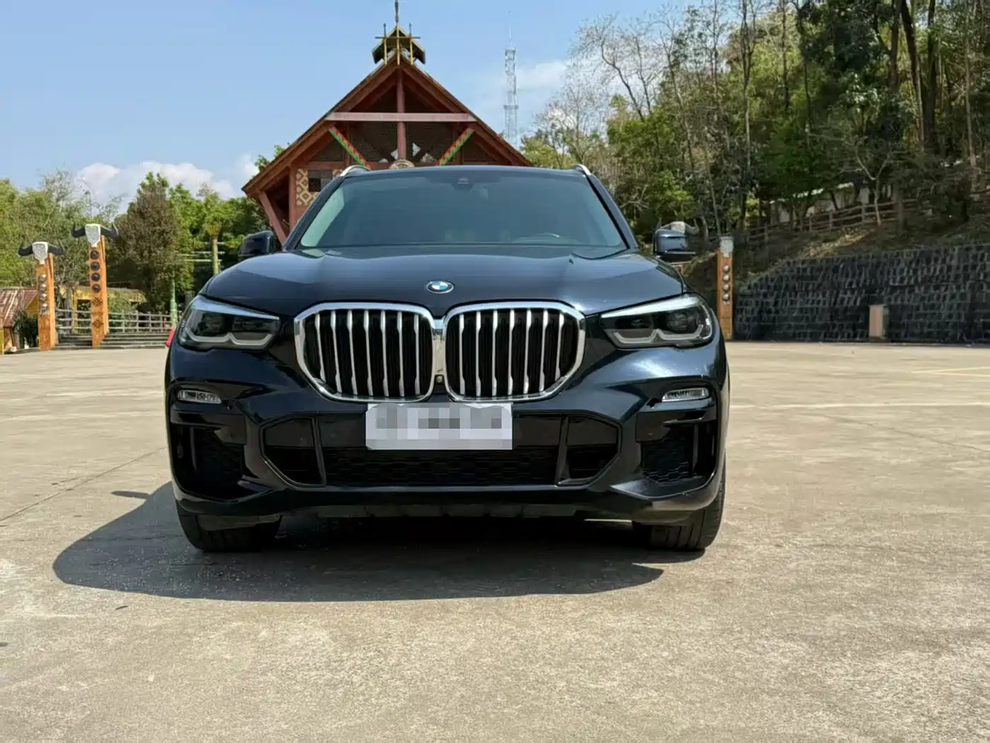 BMW X5 (Import) 2020 xDrive30i M Sport Package фото 3