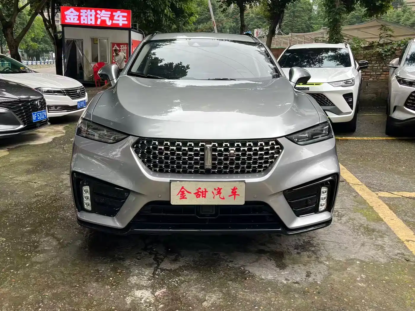 WEY VV7 2020 2.0T Super Luxury