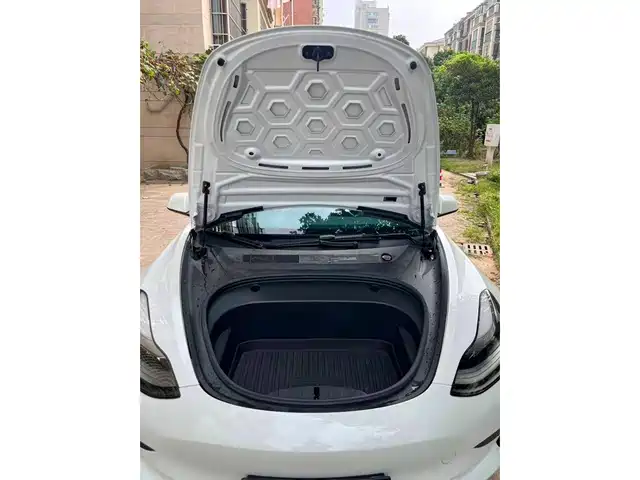 Tesla Model 3 2022 Model Rear-Wheel Drive Version — фото 3