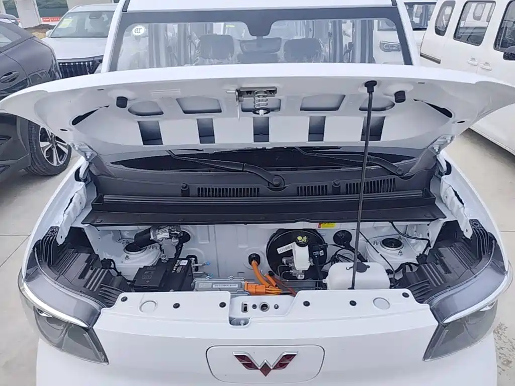 Wuling Motors Wuling Zhiguang NEV 2026 2025 Model 305km Base Version