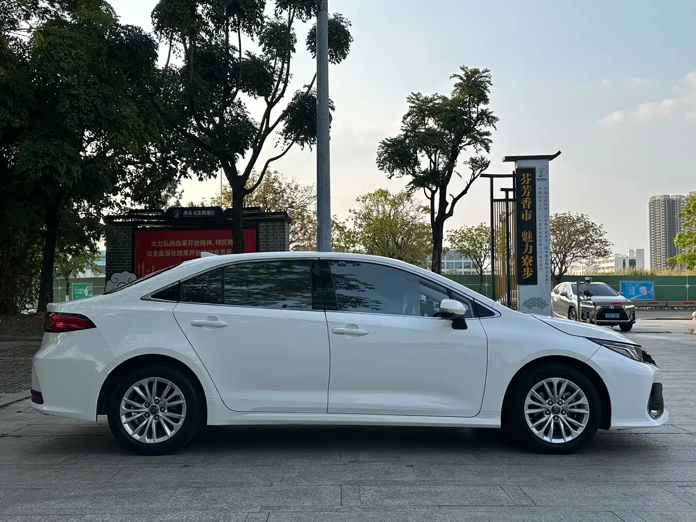 TOYOTA ASIAN LION