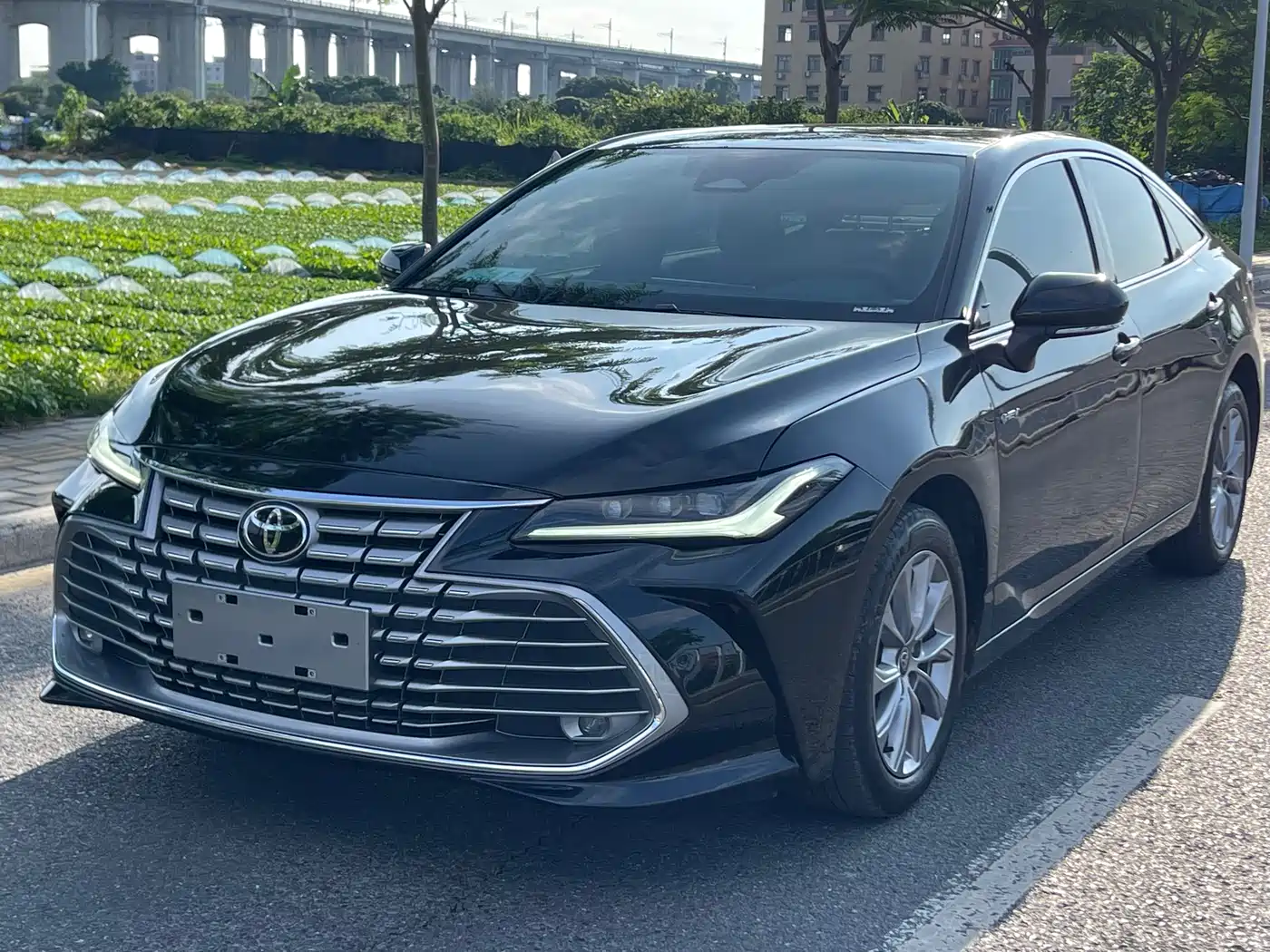 Toyota Avalon 2024 Model Hybrid 2.0L Premium Selection Edition