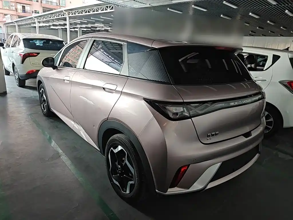 Фото 5 - BYD Dolphin