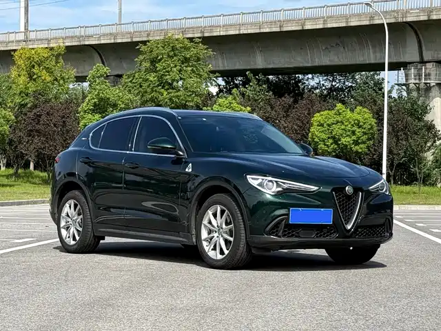 Alfa Romeo Stelvio 2020 2.0T 280HP Luxury Edition — фото 3