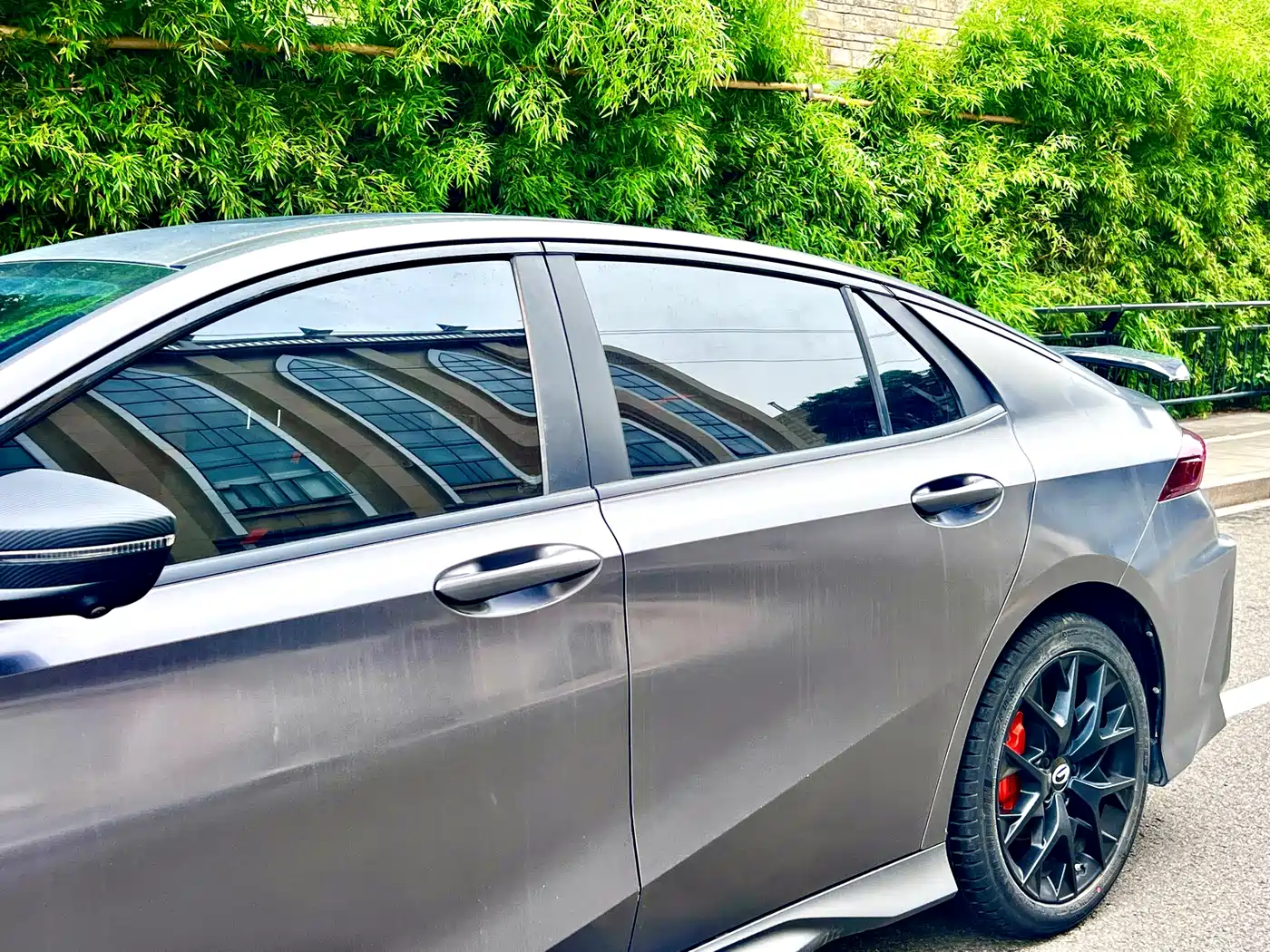 GAC SHADOW LEOPARD